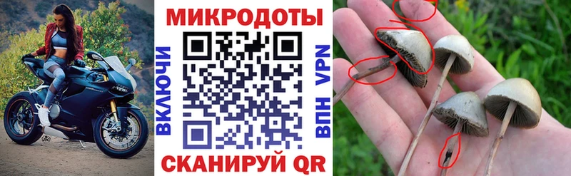 hydra зеркало  Семилуки  Псилоцибиновые грибы ЛСД 